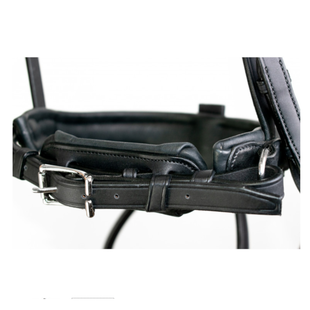 Origin Dressage Double Bridle with Patent Crank Noseband